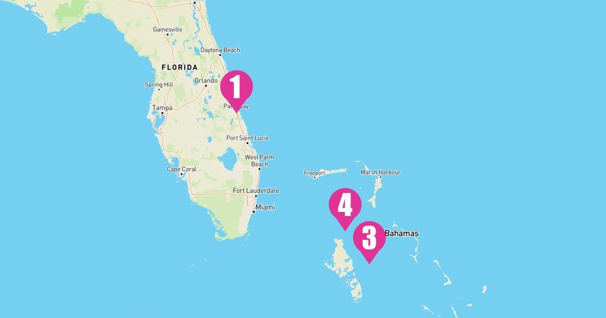 4 Night Bahamas & Perfect Day (Port Canaveral Roundtrip)
