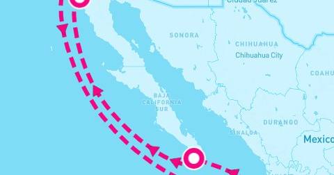 7 Night Halloween On The High Seas Mexican Riviera
