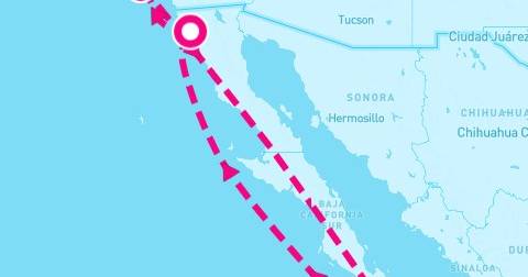 7 Night Cabo Overnight Catalina & Ensenada