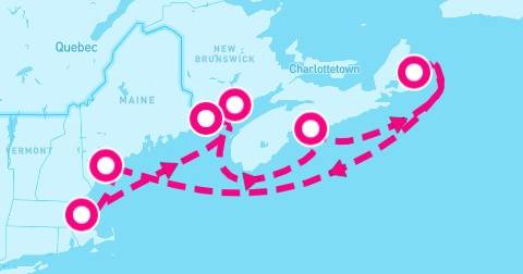 7 Night Canada & New England Circle: New Brunswick