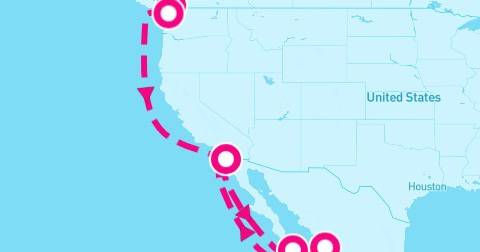 11 Night Mexican Riviera & Pacific Coast