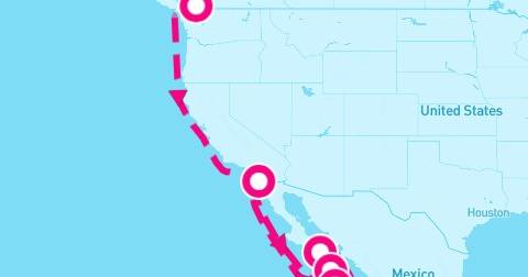 11 Night Pacific Coastal & Baja Peninsula