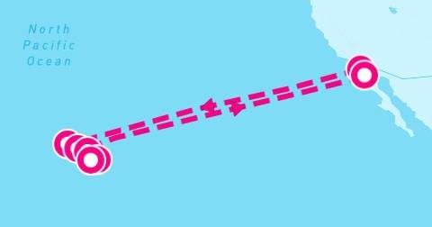 18 Night Circle Hawaii Holiday