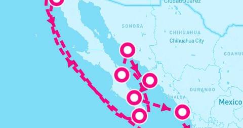 12 Night Historical Baja Peninsula