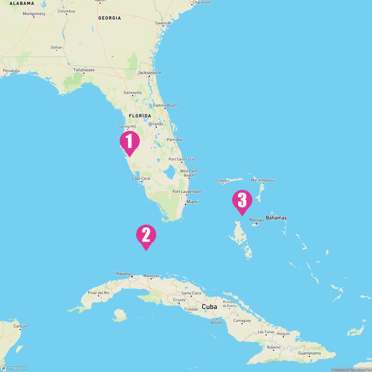 4 Night Bahamas (Tampa Roundtrip)